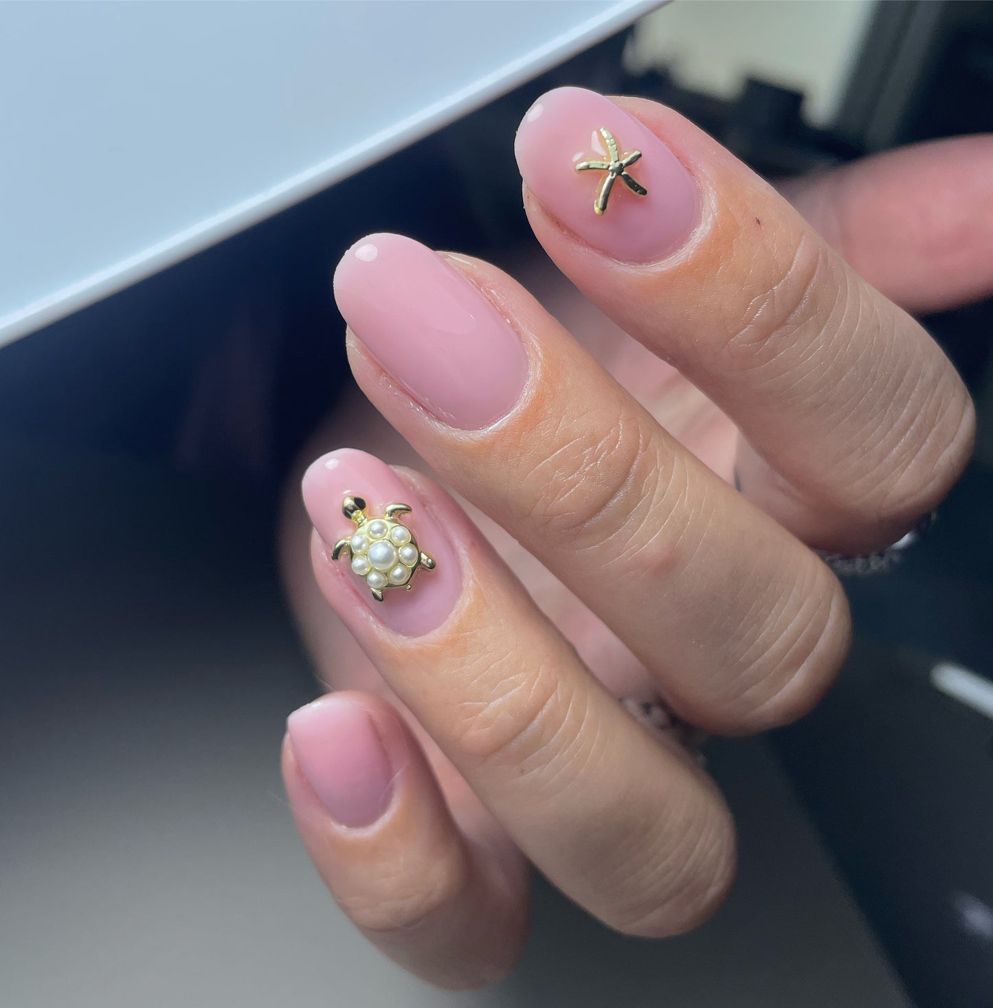 Nail charms - Pearl Sea turtle 5